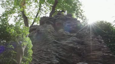 Güneşte kayalık, yukarı doğru görüntü videosu