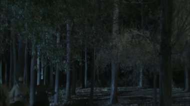 Bir grup Sekizinci Yol askeri at sırtında gece ormandan geçtiler.