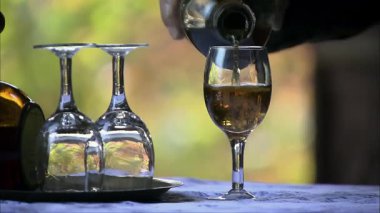 Bardağa yarım bardak 15 yıllık Glenfiddich dök, yakın çekim video.