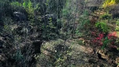 Dağlardan ve ormanlardan geçen bir grup Japon askerinin hava görüntüsü.