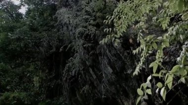 Mağaraya giriş Dağın yarısına kadar