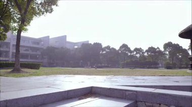 Göl kenarındaki parkın güzel manzarasına bakıyorum.