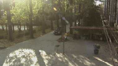 Siyah bir Volkswagen araba ağaçlık yolu geçti ve açık bir alana park etti.