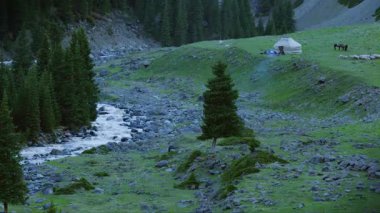 Dağın eteğinde, derenin yanında, koyunlar, çadırlar.