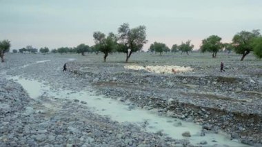 Bir koyun sürüsü ve iki çoban kayalık bir sahilde, uzaktan vurulmuş.