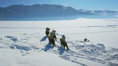Karla kaplı dağların eteklerinde, bir grup avcı şahinlerle at sırtında