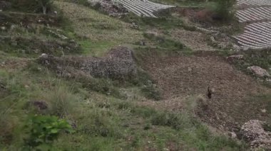 Bir adam uzaktaki dağda bambu sepeti taşıyor.