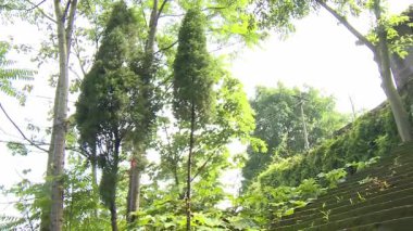 Dağlardaki bir tapınağın kapısında bambu sepeti taşıyan bir adam tapınağa doğru tırmanıyor.