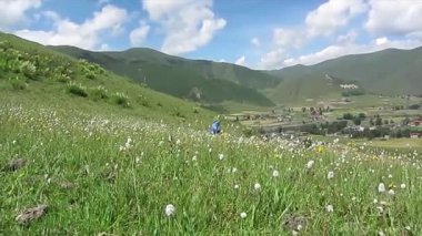 Mavi gökyüzünün ve beyaz bulutların altındaki yaylalardaki kır çiçekleri
