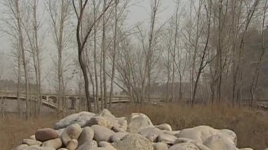 Linson 'ın kışın doğduğu yerin manzarası.