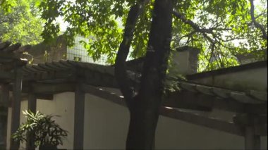 Bahçe manzarası ve mimarisi