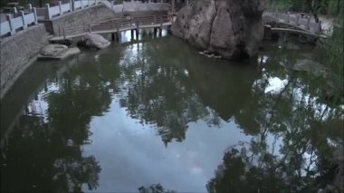 Bahçedeki küçük gölet