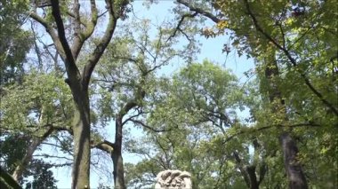 Bir mezar taşı tepeden tırnağa ele geçirilir. Mezar taşına 