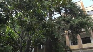 Bir ofis binasının girişi.