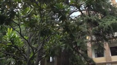 Bir ofis binasının girişi.