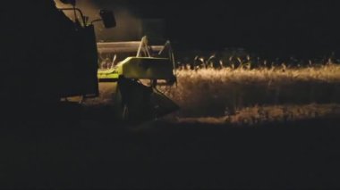 Geceleyin, hasat işleriyle meşguldür.