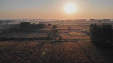 Sonsuz güzel pirinç tarlalarının hava fotoğrafçılığı
