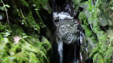 Dağlardaki akarsu, tepeden tırnağa