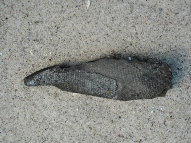 Almanya 'nın Harz bölgesinden gelen fosiller, deri izleri ve şist tabakaları paleontoloji ve deniz fosili araştırmaları için bilimsel bir değere sahiptir..