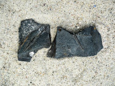 Harz slate 'deki fosil crinoidler deniz tarihi hakkında içgörüler sunar, araştırma ve eğitim için önemlidir ve yasal düzenlemelere tabidirler..