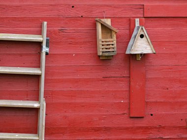 shed adorned with a birdhouse. A charming scene unfolds: a brick-red shed adorned with a birdhouse, squirrel feeder, and rustic ladder, creating a tranquil haven in nature's embrace clipart