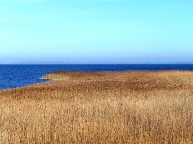 Jasmund Bodden 'ın manzarası. Jasmund Bodden 'ın geniş kamış kemeriyle sakin görüntüsü. Kahverengi sazlıklar, derin mavi sular ve açık mavi gökyüzü ile uyumlu bir şekilde harmanlanır..