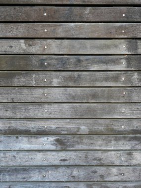 Temiz yapısı ve minimalist tasarımı olan gri ahşap bir duvar. Zamansız estetik tasarım projeleri için çok yönlü ilham sunuyor. Metinler için boşluk.