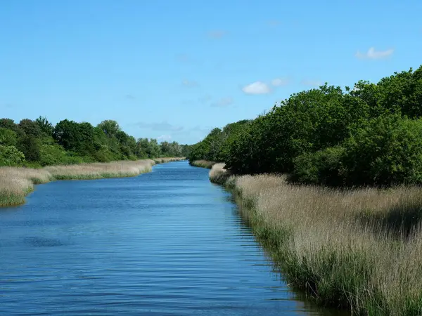 Moor Kanalı 'ndan Schnaterman' a. Warnemnde yakınlarında doğa yolu. Sakin su, yoğun bitki örtüsü ve cennet gibi bir atmosfer. Uzayı kopyala Metinler ve tasarımlar için boşluk.