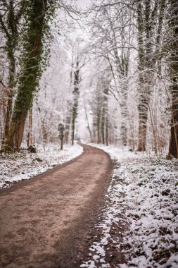 Kış mevsiminde Karlı Orman Yolu Serene Doğa Peyzajı 'nın dolambaçlı orman yolu kış günü, karla kaplı ağaçlar ve hafif karla çevrili. Çıplak dallar ve hafif ışıklandırma, doğal ve mevsimsel koşullar için mükemmel, sakin, atmosferik bir sahne yaratır.