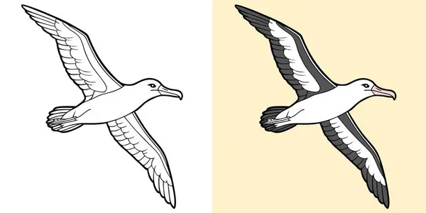 Resimlerde ayrıntılı sanat eserlerine sahip bir albatros gösteriliyor, siyah beyaz ve renk tarzında, uçan bir hareket ve zarif kuş özellikleri içeriyor..
