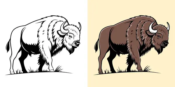 Siyah ve Beyaz ve Renkli Varyasyonlarda Resimli Bizon.