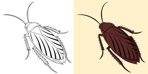 Hem Taslak hem de Renkli Varyasyonlarda Bir Hamamböceğinin Ayrıntılı Çizimi.