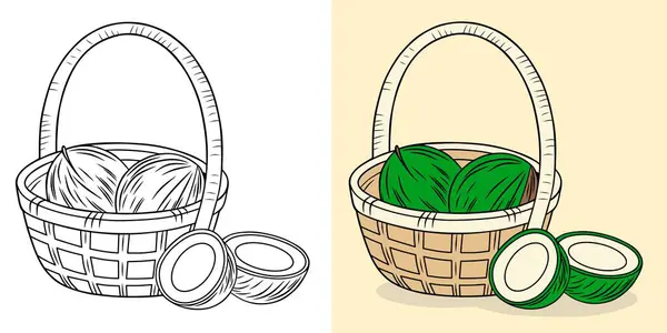 Hindistan cevizlerinin çift canlı ve ana hatlı tasvirleri örülmüş bir sepette güzelce düzenlenmiş, tarımsal, dekoratif veya sanatsal kullanım için uygun detaylar ve tasarım yönleri..
