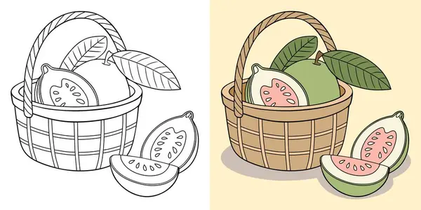İki şekilde resmedilmiş sepetteki guavaların sanatsal tasviri: siyah-beyaz. Meyve, doğa ve yaratıcılık tasarım, sanat projeleri ve eğitim amaçlarına uygundur..