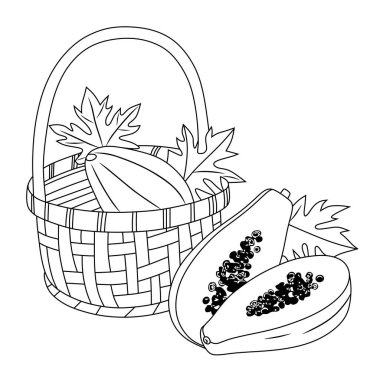 Dokuma sepetindeki siyah-beyaz çizgili taze papaya sanatı, içinde bütün ve dilimlenmiş tohumlar var. Bu el yapımı sanat eserleri boyama sayfaları, yemek tasarımları, ambalaj ve markalaşma için idealdir..
