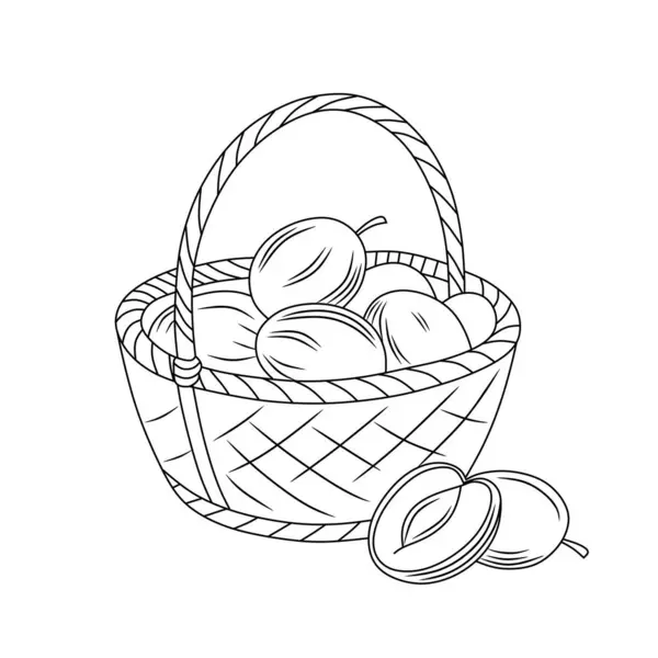 Dokuma sepetindeki taze erik meyvelerinin minimalist çizgisi çizimi. Logolar, ambalajlar, baskılar ve botanik temalı projeler için mükemmel. Modern, zarif ve organik gıda tasarımları için uygun..