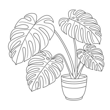 Tenceredeki canavar bitkisinin minimalist çizgisi çizimi. Dekor, marka ve botanik temalı grafik elementler için mükemmel. Bitki severler ve modern estetik kavramlar için idealdir..