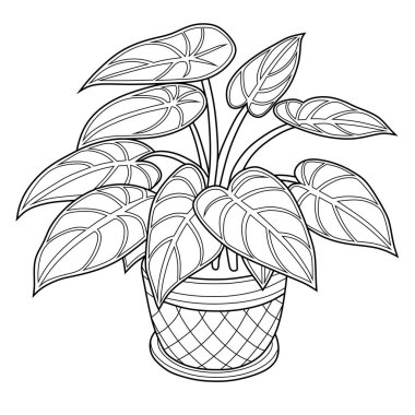 A detailed digital illustration of a potted Aglaonema plant with lush green leaves. Perfect for botanical art, home decor, gardening projects, and nature-themed designs. Ideal for plant lovers.