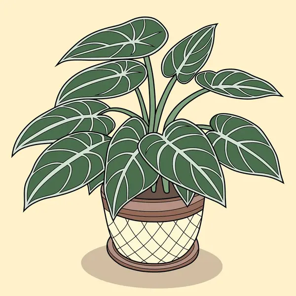A detailed digital illustration of a potted Aglaonema plant with lush green leaves. Perfect for botanical art, home decor, gardening projects, and nature-themed designs. Ideal for plant lovers.