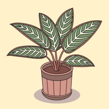 Tenceredeki renkli bir Calathea bitkisinin dijital bir çizimi, eşsiz ve estetik yaprak detayları içeriyor. Dekorasyon, grafik tasarım ve doğa temalı görsel öğeler için mükemmel..