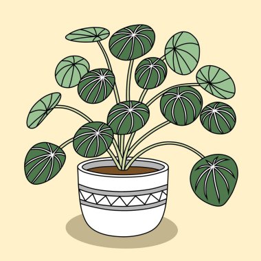 Renkli vektör stiline sahip bir tencerede bulunan pilea bitkisinin dijital bir çizimi. Dekorasyon tasarımları, posterler, tebrik kartları ve doğa temalı grafik öğeleri için mükemmel..