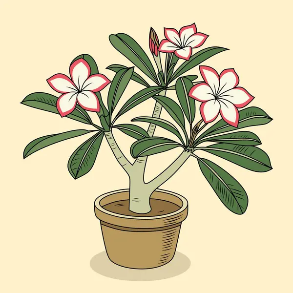 Bir tenceredeki adenyum bitkisinin canlı dijital çizimi, güzel çiçekleri ve kalın gövdesiyle sergileniyor. Botanik tasarımlar, ev dekorasyonu ve bitki meraklıları için ideal. Mikro platformlar için mükemmel.