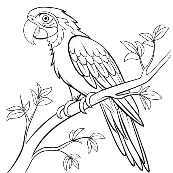 Ağaç dalındaki bir papağanın çizgi çizimi. Boyama sayfaları, eğitim materyalleri veya doğa temalı tasarımlar için uygundur.