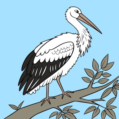 Ağaç dalına konmuş bir leylek kuşunun vektör çizimi. Eğitim materyalleri, vahşi yaşam grafikleri ve doğa temalı tasarım projeleri için ideal.