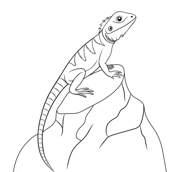 Kayaya konmuş bir kertenkelenin basit bir çizgisi çizimi. Boyama sayfaları, eğitim kaynakları, dövme tasarımları ve sürüngen temalı sanat projeleri için mükemmel..