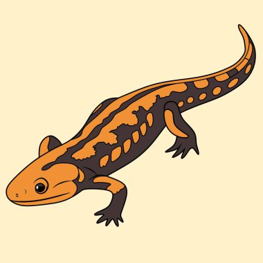 Çarpıcı desenleri olan renkli bir semenderin canlı bir çizimi. Eğitim kaynakları, doğa temalı tasarımlar ve dijital sanat eserleri için ideal.