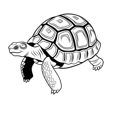 Siyah beyaz bir deniz kaplumbağasının detaylı bir çizgisi. Eğitim malzemeleri, boyama sayfaları ve deniz temalı tasarımlar için ideal.