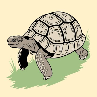Eğitim materyalleri, doğa temalı tasarımlar ve dijital sanat projeleri için mükemmel çimenlerin üzerinde yürüyen bir kaplumbağanın ayrıntılı ve canlı bir çizimi..