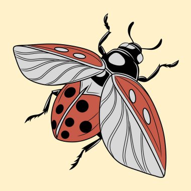 Canlı renkleri ve yüksek ayrıntıları olan bir böceğin çizimi. Eğitici tasarımlar, çocuk kitapları, posterler ve böcek resimleme koleksiyonları için mükemmel..