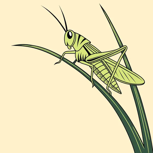 Taze bir yaprağın üzerinde oturan yeşil bir çekirgenin çizimi. Eğitici tasarımlar, çocuk kitapları, posterler ve böcek resimleme koleksiyonları için mükemmel..